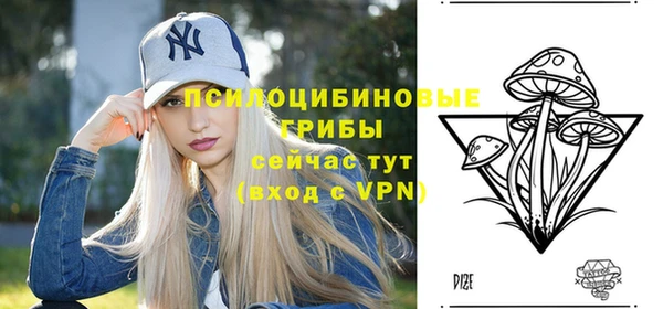 не бодяженный Алзамай