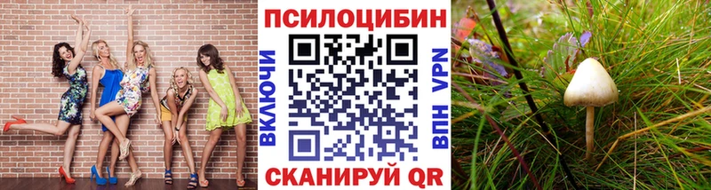 Псилоцибиновые грибы мицелий  Коряжма 