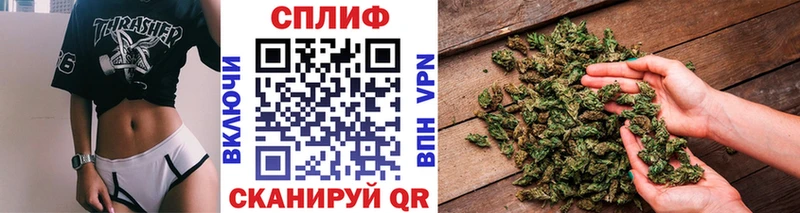 Бошки марихуана SATIVA & INDICA  OMG как войти  Коряжма 